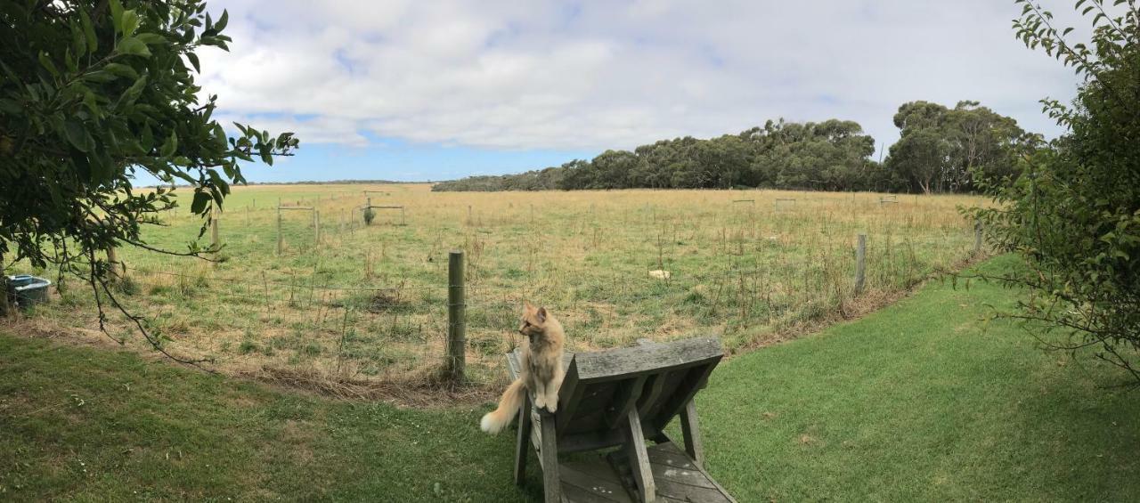 Langleys Port Campbell Hobby Farm Leilighet Eksteriør bilde